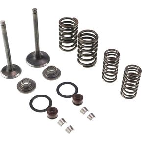 Cylinder Head Intake and Exhaust Valve Seal Spring Kit Compatible 150cc GY6 Engine 66mm Intake Exhaust Valves QMJ152/157 Chinese Mini ATV Quad Horizontal Engine Pocket Dirt Bike