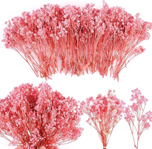 200Pcs Mini Dried Baby's Breath Flowers 4000+Natural Bulk Flowers Real Flowers Pressing Floral Dried Flowers Pressed Gypsophila Bouquet for Hair Accessory Wedding Card Making (Ivory White) in Saudi Arabia