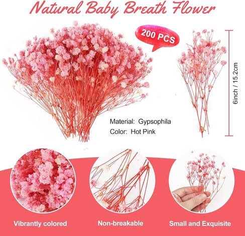 200Pcs Mini Dried Baby's Breath Flowers 4000+Natural Bulk Flowers Real Flowers Pressing Floral Dried Flowers Pressed Gypsophila Bouquet for Hair Accessory Wedding Card Making (Ivory White) in Saudi Arabia