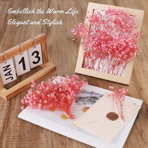 200Pcs Mini Dried Baby's Breath Flowers 4000+Natural Bulk Flowers Real Flowers Pressing Floral Dried Flowers Pressed Gypsophila Bouquet for Hair Accessory Wedding Card Making (Ivory White) in Saudi Arabia