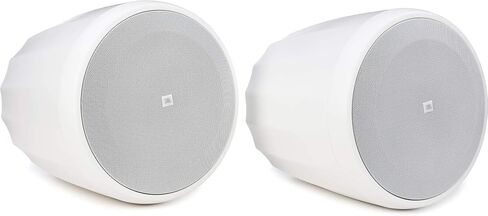JBL Professional C60PS/T Hanging Pendant Subwoofer with Passive Crossover, Black, Sold as Pair in Saudi Arabia