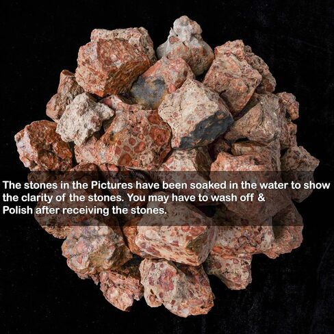 Amazonite Raw Stones for Polishing 1,000+ Carats Rough Stones Bulk, Tumbling Bulk, Jewelry Making, Polishing, Cabbing, Lapidary, Fountain Rocks, Decoration, Wire Wrapping, Gem Mining, Reiki Healing in Kuwait
