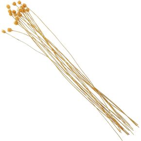 Sewroro Rattan Reed Sticks 20pcs Flower Reed Diffuser Sticks Refills Wood Essential Oil Aroma Diffuser Sticks for SPA Office Home Decor Essential Oil Diffusers