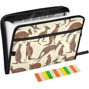 Baseball Ball in Fire and Water Expanding File Folder 13 Pockets Sports Theme Expandable Filing Folders Accordion Document Files Organizer for A4 Letter Size Paper