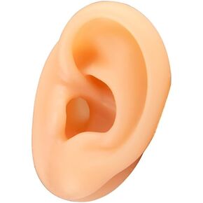 Human Ear Model Simulation Artificial Human Left Ear Silicone Ear Model for Ear Picking, Ear Piercing Teaching, Acupuncture (Left Ear)