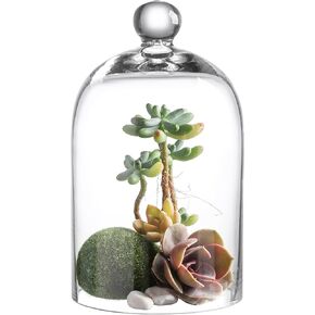 KMwares Clear Glass Display Dome Cloche Bell Jar Tabletop Decorative Case Covered Plants/Food (Medium)