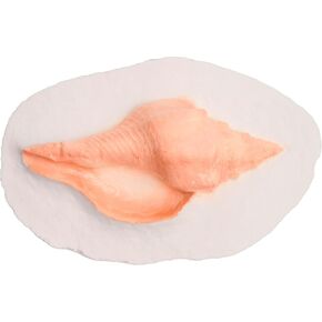 Biodegradable Urn for Human Ashes (The Lily at Peace) Water Burial Urn, Urn Floats in Water, Urn for Cremation, Ocean Water Scattering Urn for Ashes, Floating Urn, Earth Memorials, Adult Size W-302