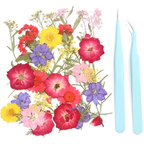 28PCS Dry Embossing and 2 Exquisite Tweezers, Real Natural Petals. Used for DIY Resin Candle Soap Jewelry Nail Crafts, Mobile Phone Shell Scrapbook Making, Photo Frame DIY(Purple)