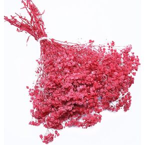 LYFORTZY 2 Bunches Purple Gypsophila Long Lasting Flowers, Real Natural Preserved Baby'S Breath .for Making Large and mini bouquets、 garlands、resin art、vase、 DIY Wreath Floral.(Long 17.3 inch)