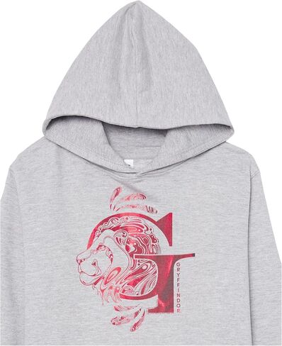 Harry Potter Boys Deathly Hallows Gryffindor Youth Pullover Hoodie in Saudi Arabia