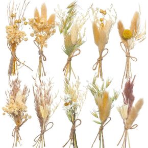 10 Pack Mini Dried Flower Bouquet, Dried Flowers with Stem Small Dried Wildflowers Combinations Dried Pressed Flowers Floral for DIY Craft Scrapbook Card Gift Wedding Decorations (Green Series)