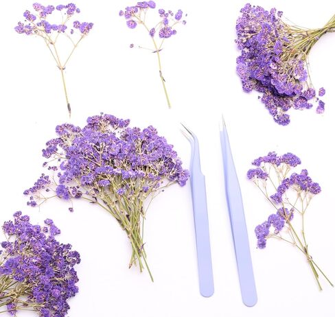 Orange 70 Pcs Mini Babies Breath Pressed Flower for Resin Art / Invitations Card Decor/Bookmark Jewelry DIY Craft, Real Dried Pressed Baby Breath Flowers Bulk with 2 Tweezers. in Saudi Arabia