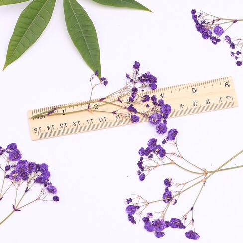 Orange 70 Pcs Mini Babies Breath Pressed Flower for Resin Art / Invitations Card Decor/Bookmark Jewelry DIY Craft, Real Dried Pressed Baby Breath Flowers Bulk with 2 Tweezers. in Saudi Arabia