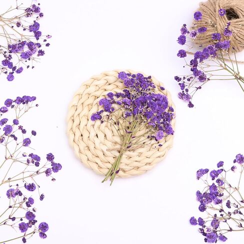 Orange 70 Pcs Mini Babies Breath Pressed Flower for Resin Art / Invitations Card Decor/Bookmark Jewelry DIY Craft, Real Dried Pressed Baby Breath Flowers Bulk with 2 Tweezers. in Saudi Arabia