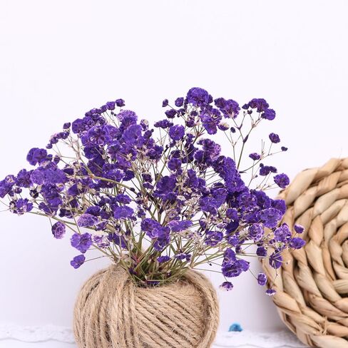 Orange 70 Pcs Mini Babies Breath Pressed Flower for Resin Art / Invitations Card Decor/Bookmark Jewelry DIY Craft, Real Dried Pressed Baby Breath Flowers Bulk with 2 Tweezers. in Saudi Arabia