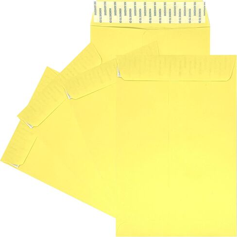 100 Minas Envelope 6" x 9" Catalog Envelopes, Peel & Seal Flap, Sturdy 24lb. Paper, 100 Count (Pink) in Saudi Arabia