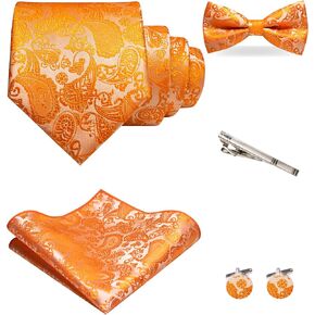 JEMYGINS Mens Paisley Tie and Pre-tied Paisley Bow Tie with Pocket Square Cufflinks Clip Set