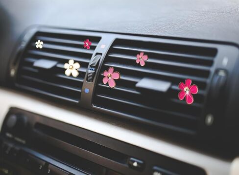 4 PCS Car Air Vent Clips Black Daisy Flower Car Air Freshener Clip Air Conditioning Outlet Clip for Car Interior Decoration Accessories (4 Size) in Kuwait
