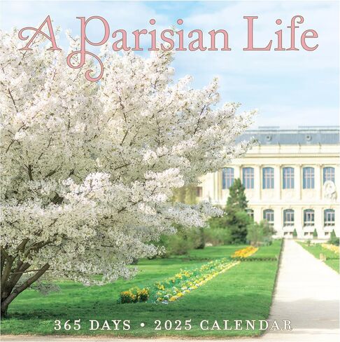 365 Daily Desk Calendar for 2025 by Graphique, Day to Day Calendar for Home or Office, Tear Off Pages in Saudi Arabia