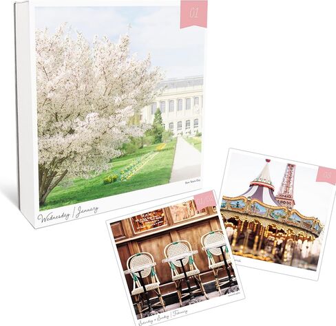 365 Daily Desk Calendar for 2025 by Graphique, Day to Day Calendar for Home or Office, Tear Off Pages in Saudi Arabia