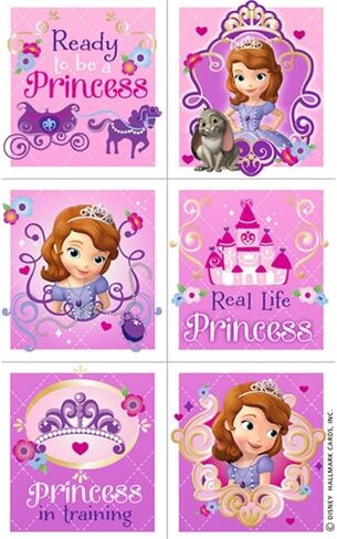 Disney Princess Backpack and Lunch Box Set ~ 16" Princess Backpack with Lunch Bag, Water Pouch, Moana Tattoos, Sofia Stickers (Princess Backpack) in Saudi Arabia