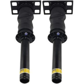 Pair Cab Shock Absorber Strut Assy Replacement For 2008-2017 International ProStar # 3595977C95 3806428C91 3595977C96 SA66127