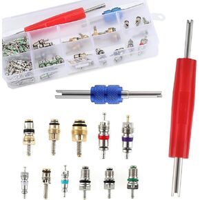 1 Set Car Air Conditioner Valve Core, Waterproof Durable Metal Material, Vehicle Valve Cores Assortment Kit, Automotive Repair Accessories with Storage Box (Multicolored)