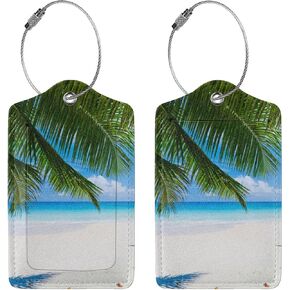 2 Pcs Cute Dinosaurs Luggage Tag for Suitcase, Steel Loop with Privacy Cover ID Label, Dino Birthday Gift for Boy Girl Kids Men Women Bag