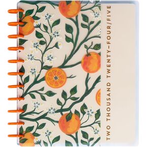 Happy Planner Disc-Bound 12-Month Academic Planner, July 2024–June 2025 Daily and Monthly Planner, Big Size, Dashboard Layout, Sweet Citrus, 72 Pages, 2 Sticker Sheets, 8 1/2" x 11"