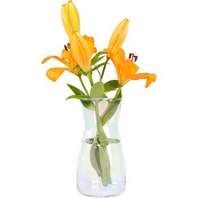 Der Rose Clear Glass Vase Flower Vase for Centerpieces, Bouquets, and Flowers(4.5×8 Inch)