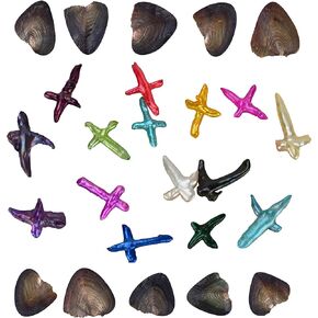 Freshwater Cross Pearl Oysters Cultured Oysters with Pearls Inside 10 PC