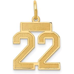 Solid 14k Yellow Gold Small Number 22 Charm Brushed Matte Finish Pendant