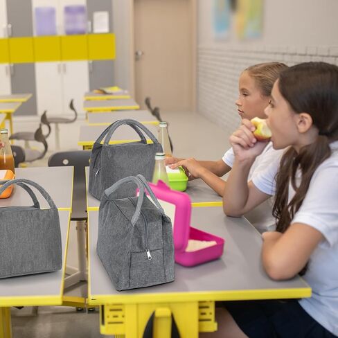 Chunful 24 Pieces Insulated Lunch Bag Bulk Reusable Lunch Bag Leakproof Tote Bag with Aluminum Foil Interior Waterproof Thermal Lunch Box for Women Men Office Work School(Gray) in Saudi Arabia