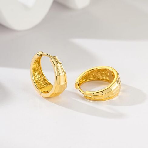 14K Gold Earrings for Women 14K Gold Small Hoop Earrings Women Gold Plated Earrings for Womens Earrings Hypoallergenic Gold Earring hoops 20 mm in Saudi Arabia