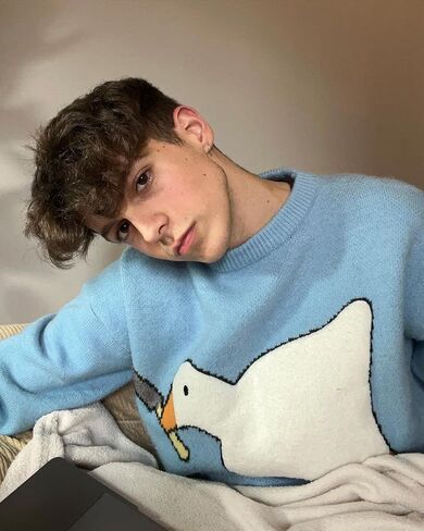 Aelfric Eden Mens Fashion Ducks Cartoon Sweaters Unisex Oversized Jumper Long Sleeve Casual Sweater Retro Couple Top in Saudi Arabia