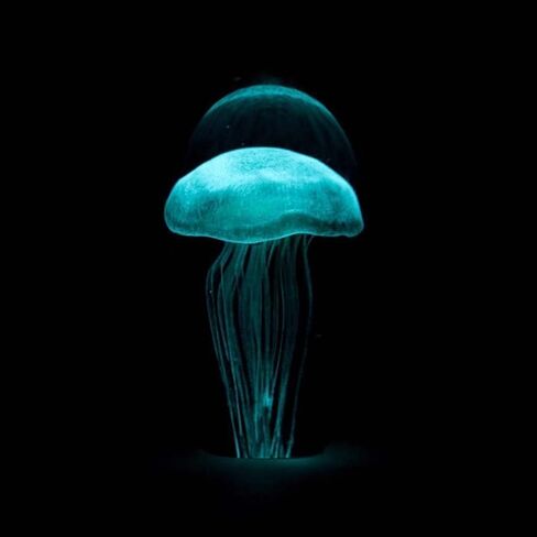 Turquoise Glow in The Dark Hand Blown Glass Jellyfish Paperweight in Saudi Arabia