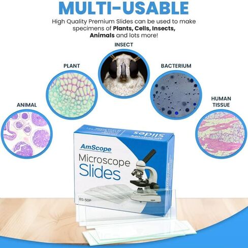 AmScope BS-50P-100S-22 شرائح مجهر زجاجية فارغة ذات حافة أرضية تم تنظيفها مسبقًا و100 قطعة غطاء زجاجي مربع تم تنظيفه مسبقًا زلات أغطية in Saudi Arabia