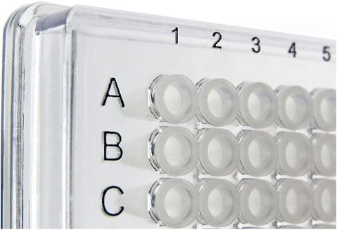 4titude 4ti-0387, FrameStar 384 Well Skirted PCR Plate with Clear Frame Frosted Well, Pack of 50 in Saudi Arabia
