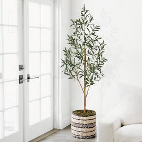6ft Artificial Olive Tree, Fake Olive Tree with 672 Lifelike Olive Leaves and 48 Fruits, Faux Olive Silk Plants with Natural Wood Trunk in Pot for Living Room Bedroom Office Decor