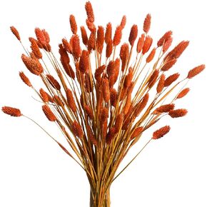 120pcs Burnt Orange Pampas Grass Bunny Tails Dried Flowers Plant Phalaris Grass 17" Natural Fluffy Pampas Gem Grass for Home Decor Boho Wedding Bouquet