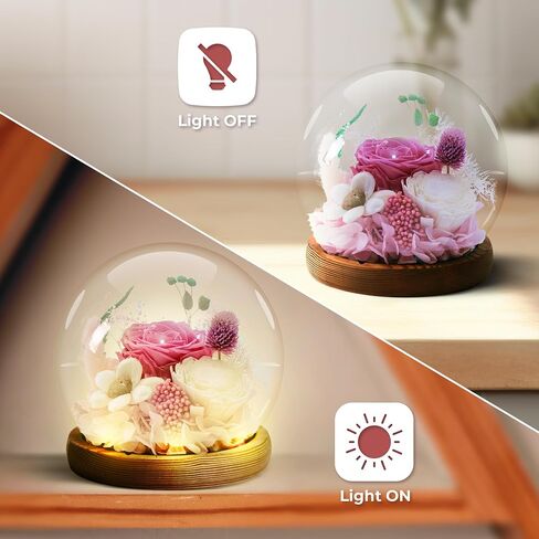 Gifts with roses for Mother's Day, Rose in a glass dome, Gifts for women Moms Her grandmother, Birthday, Valentine's Day for all The holidays of life for lovely women (Red), MG104 in Saudi Arabia