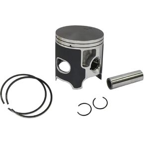 NX-20080-B 47.96mm Piston Kit