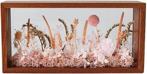 إطار صور الظل، صندوق تخزين زجاجي شبكي خشبي مزدوج الجوانب عالي الوضوح، صندوق عرض DIY، مناسب للزهور المجففة والعينات والحرف اليدوية والهدايا التذكارية ومجموعة الصور (بني الجوز) in Kuwait