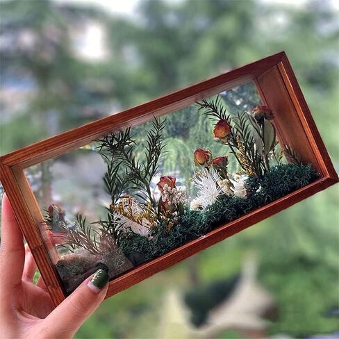 إطار صور الظل، صندوق تخزين زجاجي شبكي خشبي مزدوج الجوانب عالي الوضوح، صندوق عرض DIY، مناسب للزهور المجففة والعينات والحرف اليدوية والهدايا التذكارية ومجموعة الصور (بني الجوز) in Kuwait