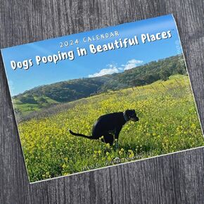 Dogs Pooping In Beautiful Places 2024 Calendar - Holiday Christmas Gag Gift White Elephant