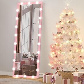 BEAUTME Vanity Mirror with Lights,Full Length Mirror 63" x 24",LED Standing/Wall-Mounted/Floor Mirror/Makeup Mirror with 22 Dimmable Bulbs(Black)