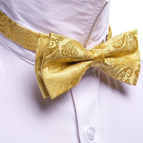 Barry.Wang Bow Ties for Men Paisley Floral Pre-tie Tuxedo Bowtie Set with Handkerchief Cufflinks Wedding Party in Saudi Arabia