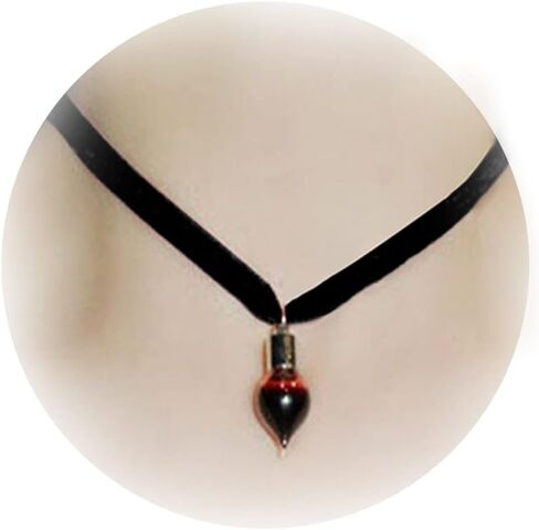 Harry and Henry Vampire Blood Vial Necklace for Women Blood Vial Choker for Halloween Cosplay Gothic Vampire Accessories in Saudi Arabia