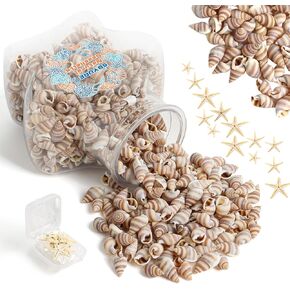 Tiny Sea Shells and Natural Starfish for Crafting, Mixed Ocean Beach Mini Seashells Bulk for Decorations,Vase Filler,Beach Theme Party(150g)