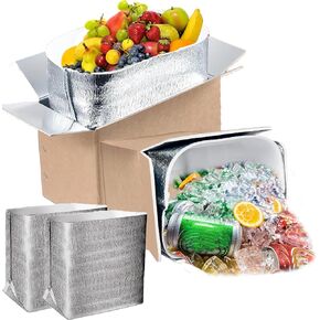2 PacksThermo Chill Double Insulated Shipping Box, with Aluminum Foil Liner - Keep Fresh-Cold Shipping Box for Frozen Food - Insulated Cooler Box for Packing, Moving, Mailing (9.5"X 6.8"X 6")